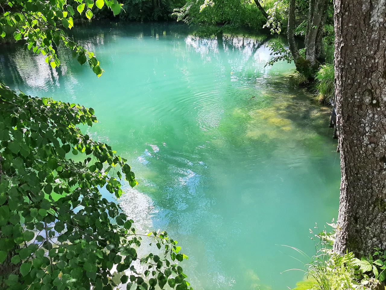Туры выходного дня
